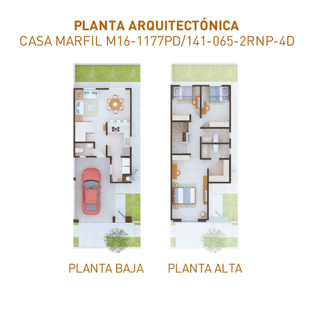 PLANTAS-1177-220922