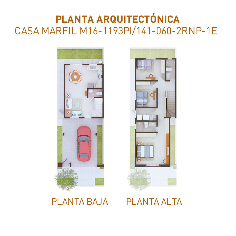 PLANTAS-1193-05092022
