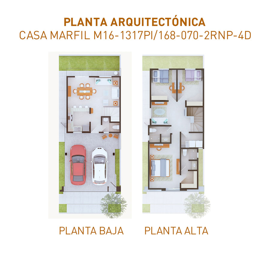 PLANTAS-1317-110624100624