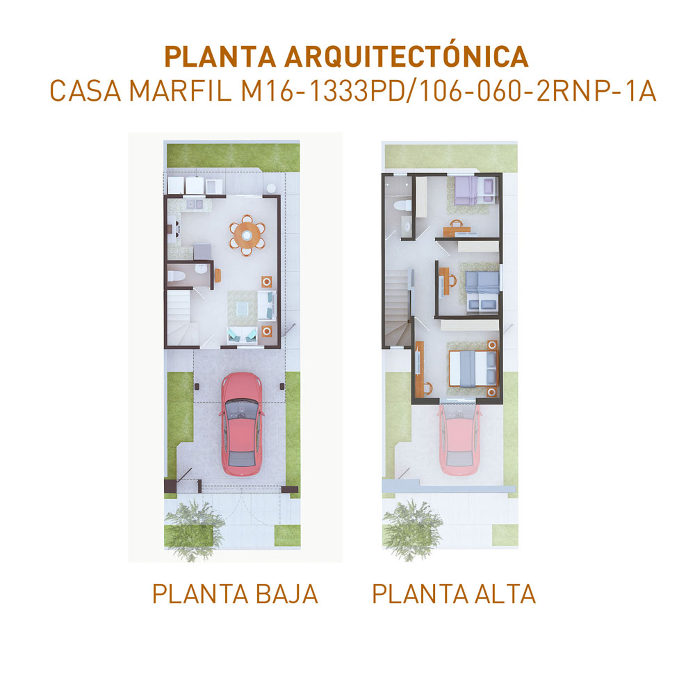 PLANTAS-1333-110624100624