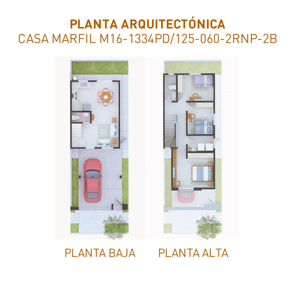 PLANTAS-1334-110624100624