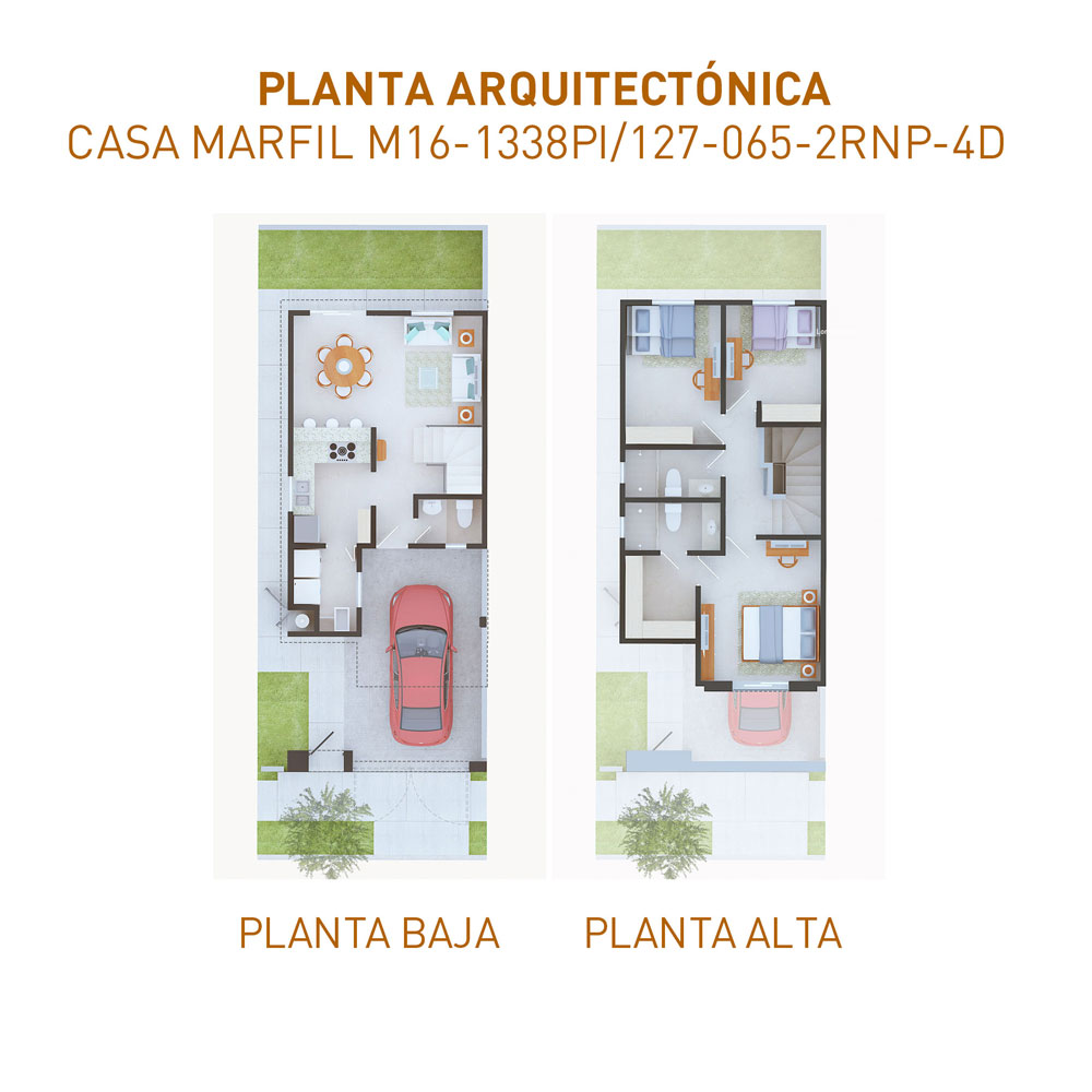 PLANTAS-1338-110624100624