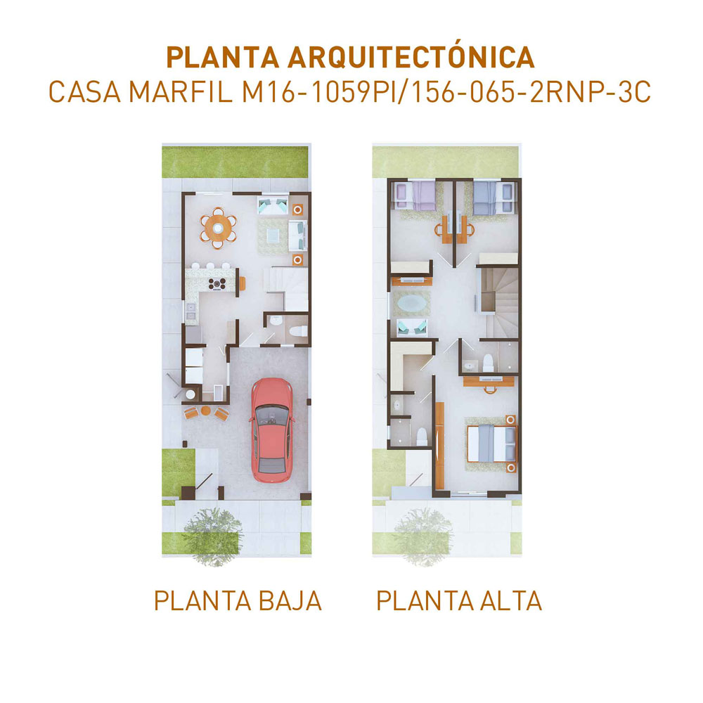 PLANTAS-M16-1059-220922