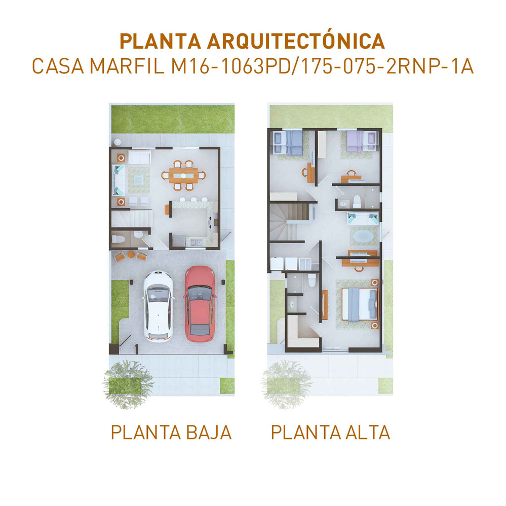PLANTAS-M16-1063-220922